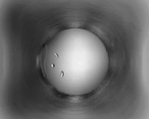 X0000088170118200705291939