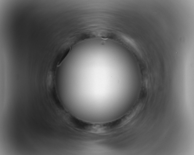 X0000088170121200705291939