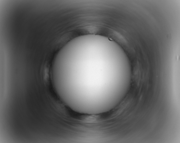 X0000088170122200705291939