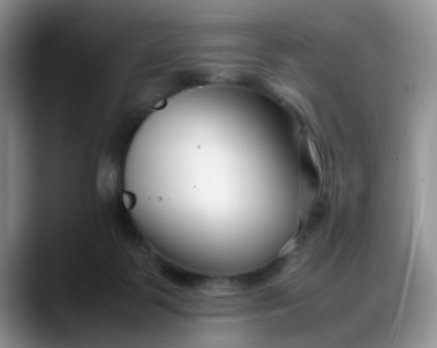 X0000088170123200705291939