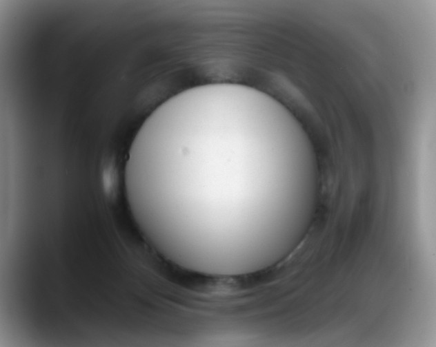 X0000088170124200705291939