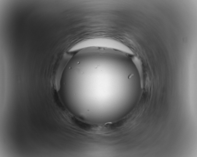 X0000088170125200705291939