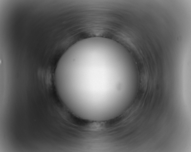 X0000088170126200705291939