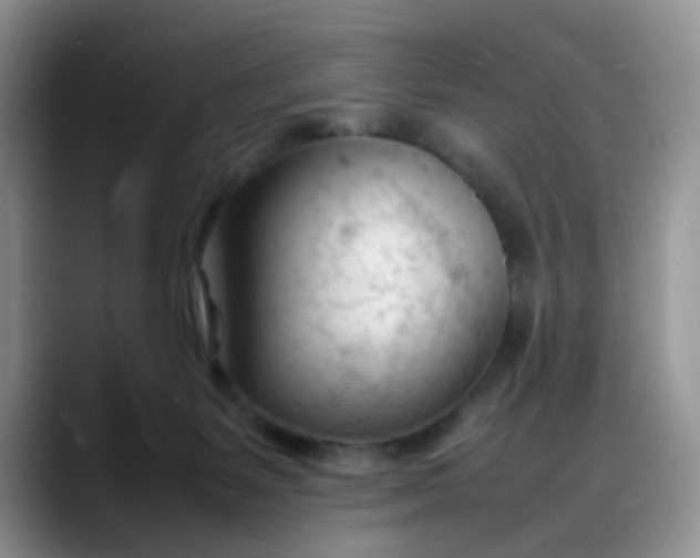 X0000088170127200705291939