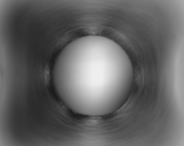 X0000088170128200705291939