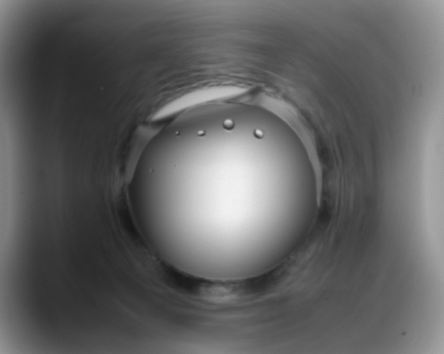 X0000088170129200705291939