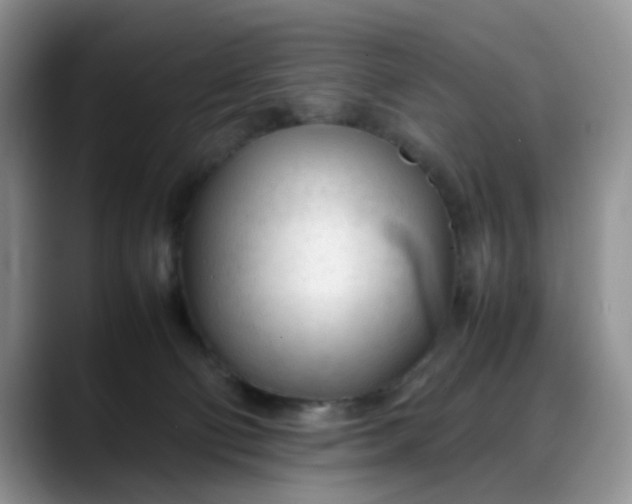 X0000088170130200705291939