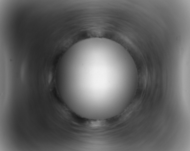 X0000088170134200705291939