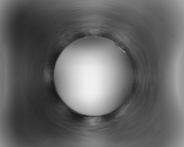 X0000088170135200705291939