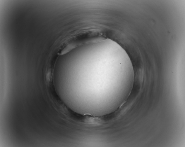 X0000088170137200705291939