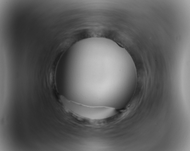 X0000088170139200705291939