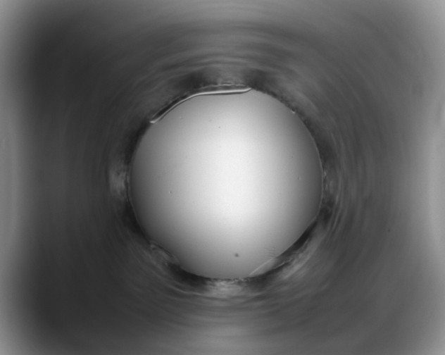 X0000088170141200705291939