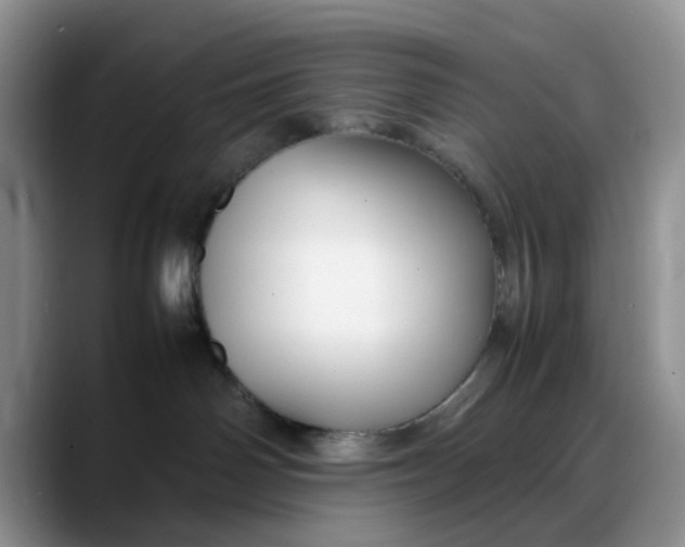 X0000088170142200705291939