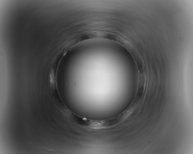 X0000088170143200705291939