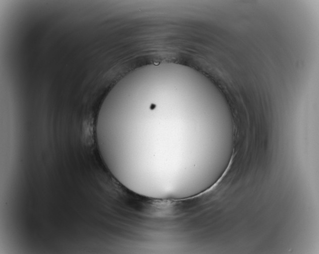 X0000088170144200705291939