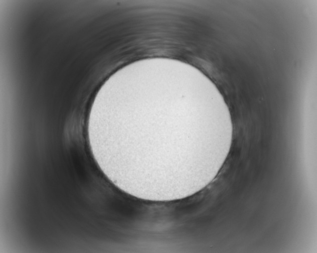 X0000088170146200705291938