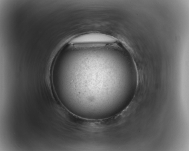 X0000088170147200705291938