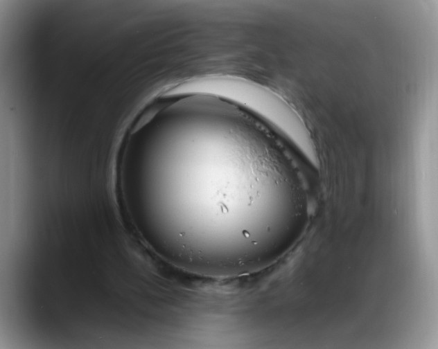 X0000088170148200705291938