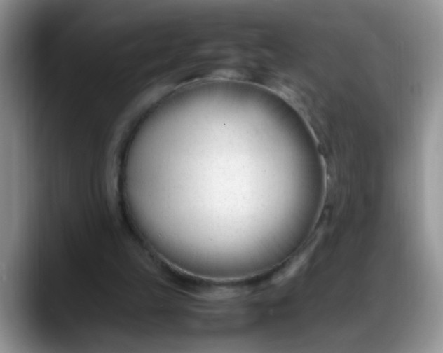 X0000088170149200705291938