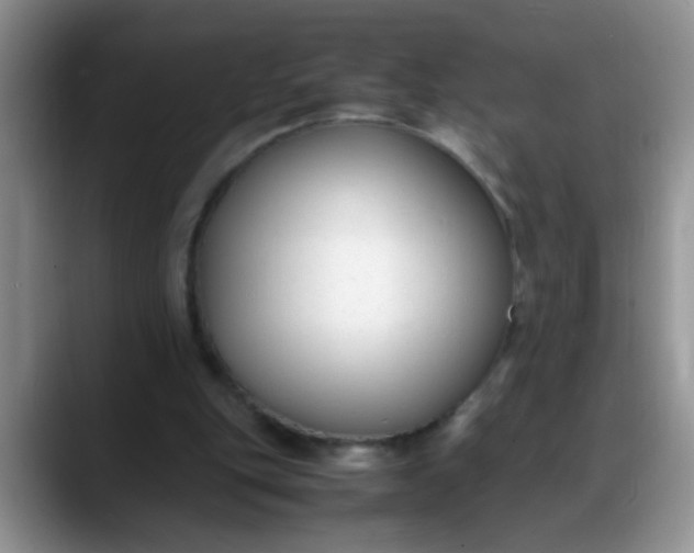 X0000088170151200705291938