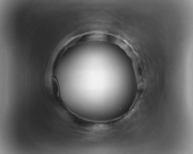 X0000088170152200705291938