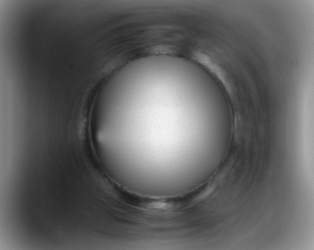 X0000088170153200705291938