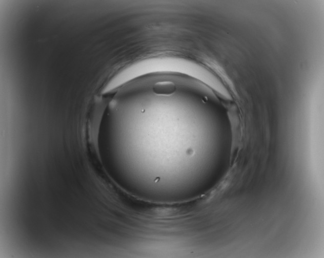 X0000088170154200705291938