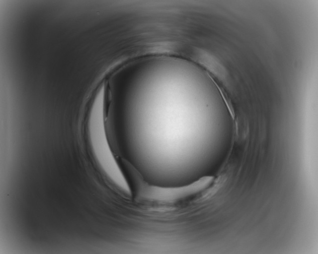 X0000088170156200705291938