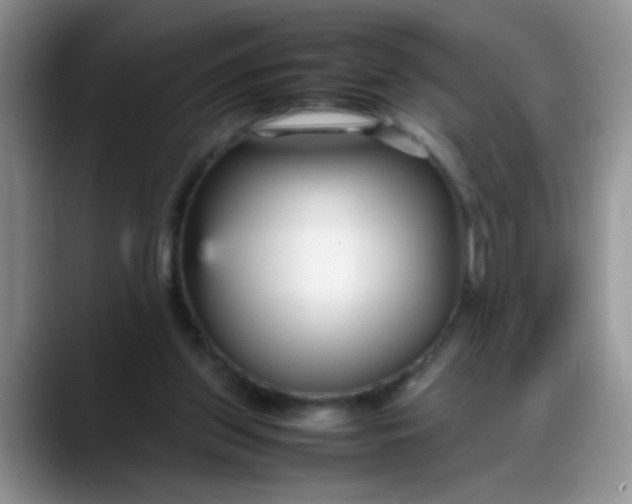 X0000088170157200705291938