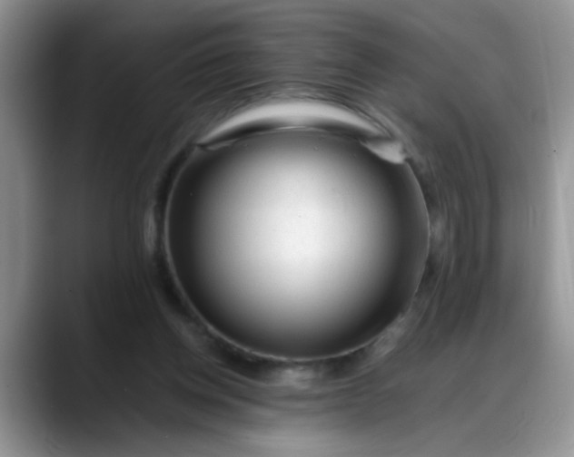 X0000088170158200705291939