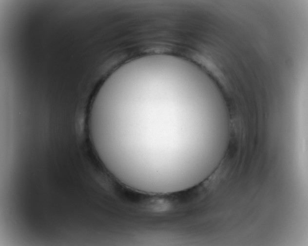 X0000088170159200705291939