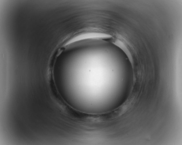 X0000088170160200705291939