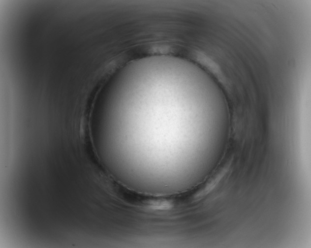 X0000088170161200705291939