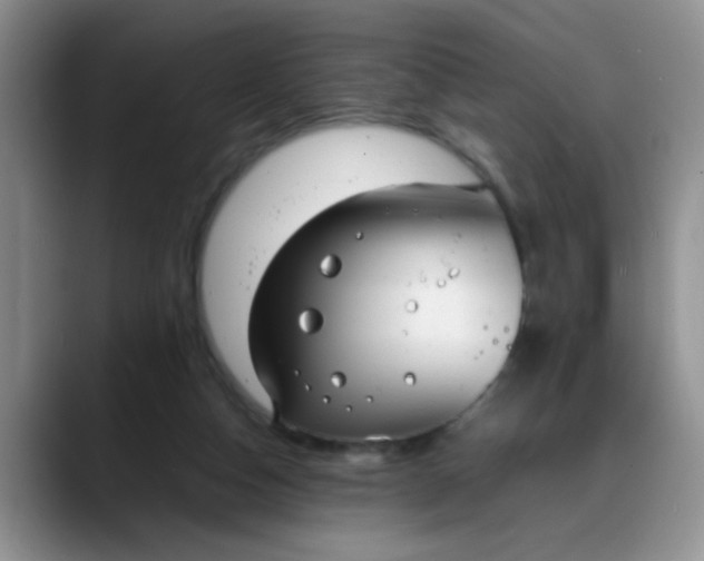 X0000088170162200705291939