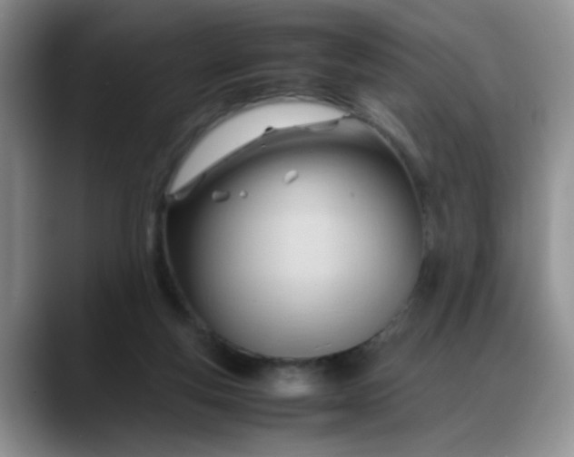 X0000088170163200705291939