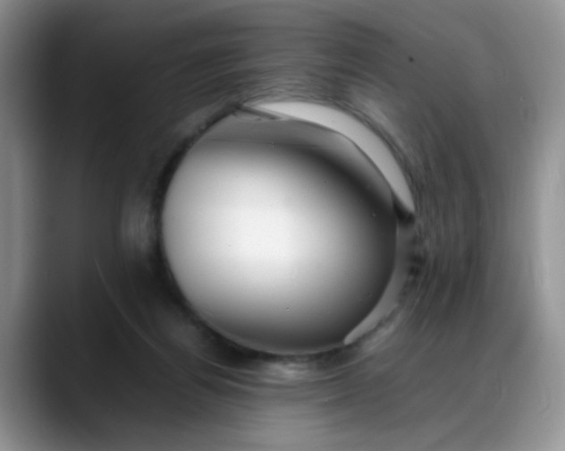 X0000088170164200705291939