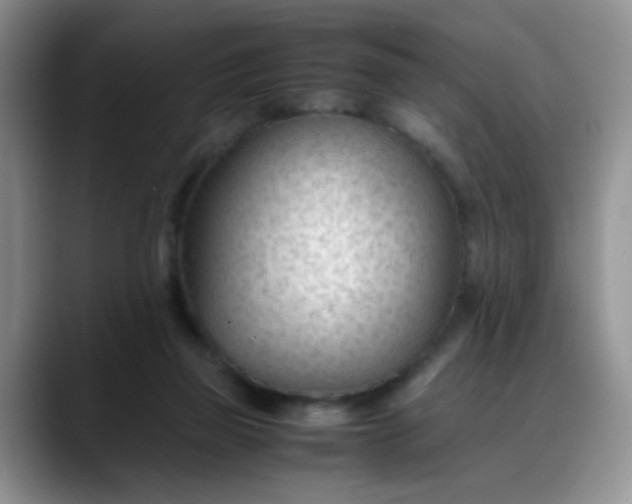 X0000088170165200705291939