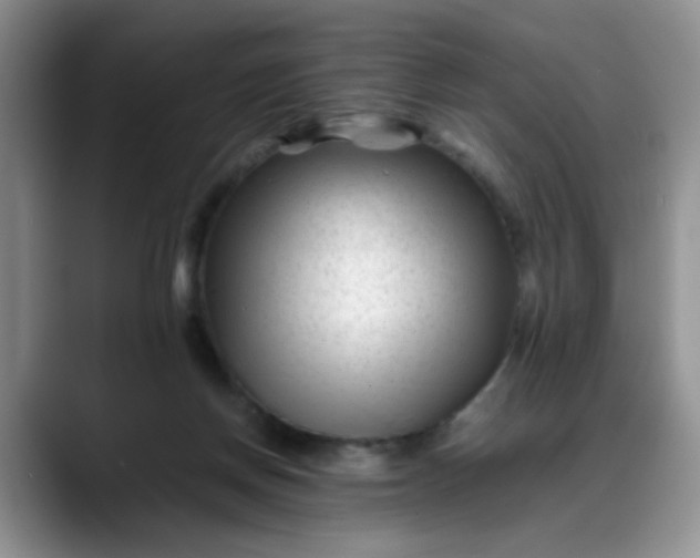 X0000088170166200705291939