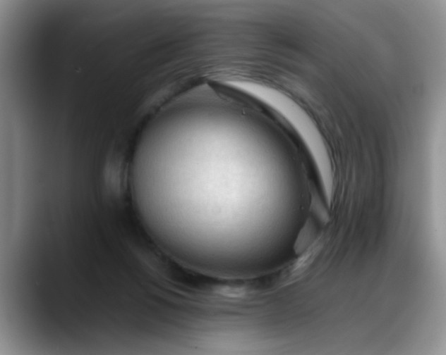 X0000088170168200705291939