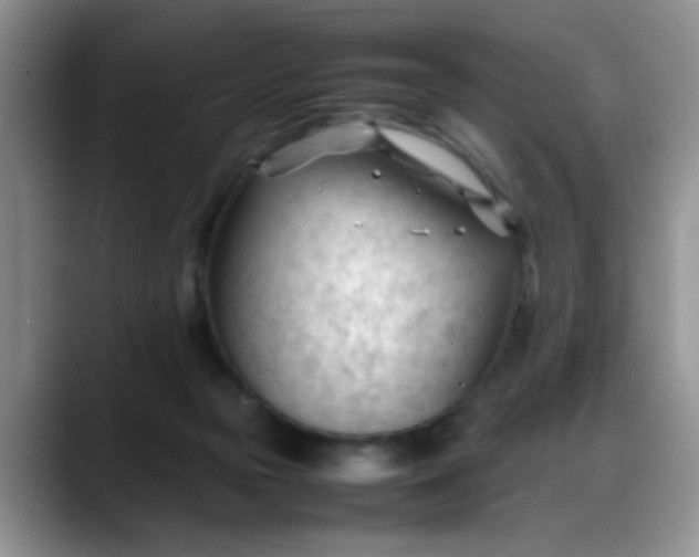 X0000088170169200705291939