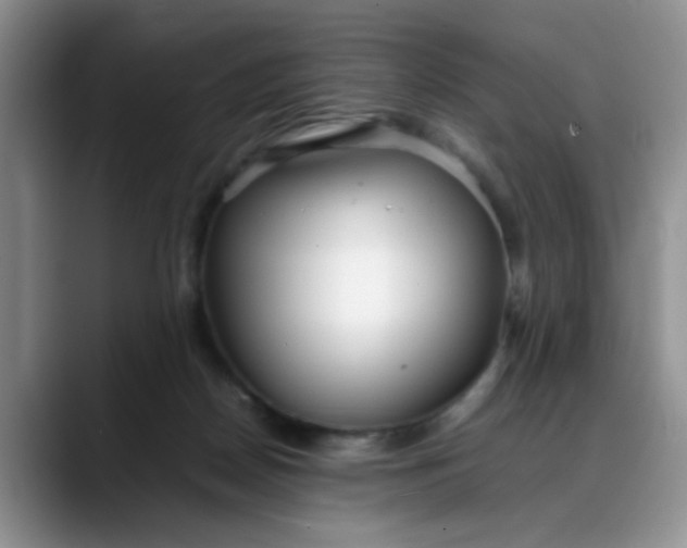 X0000088170170200705291939