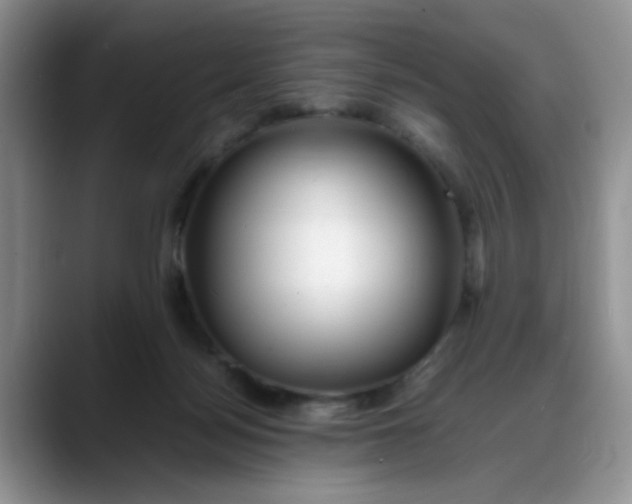 X0000088170172200705291939