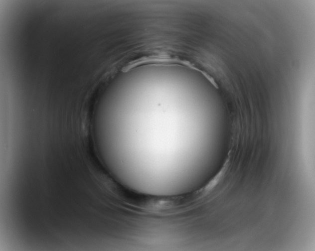 X0000088170174200705291939