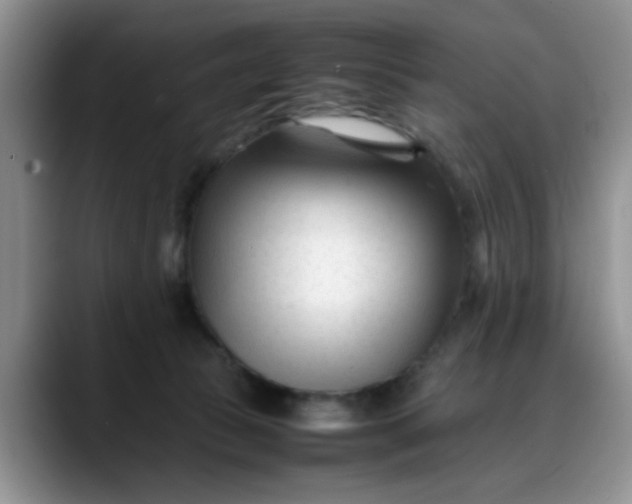 X0000088170177200705291939