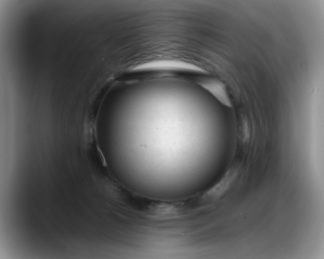 X0000088170180200705291939