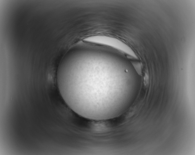 X0000088170181200705291939