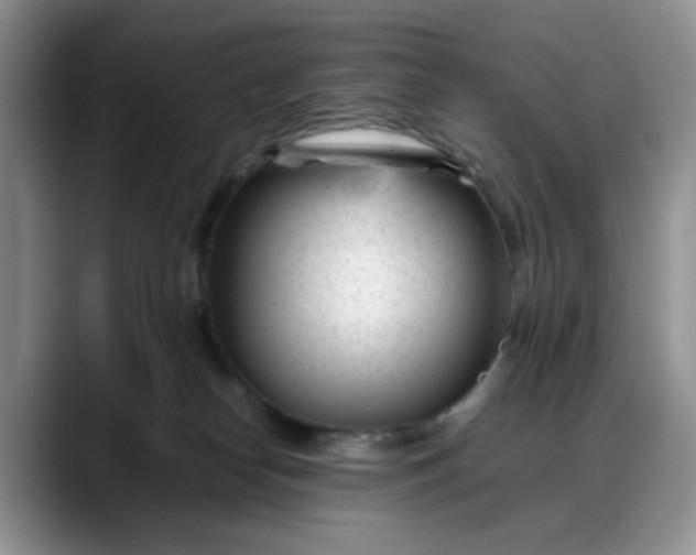 X0000088170182200705291939