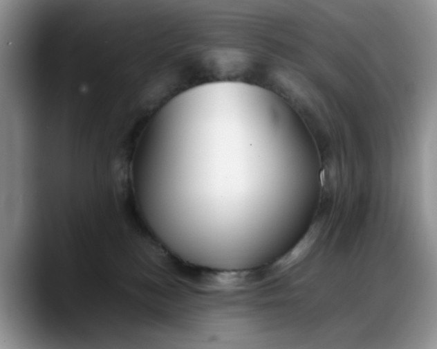 X0000088170184200705291939