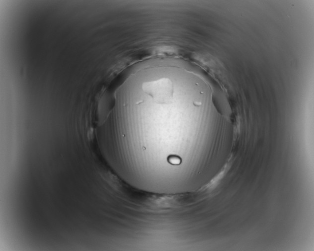 X0000088170186200705291939