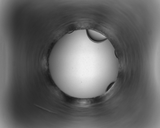 X0000088170187200705291939